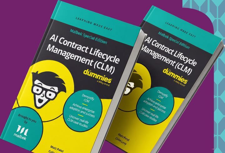 CLM For Dummies - AI Edition - Malbek